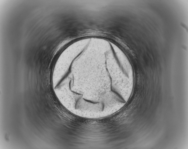 X0000097851222200804111121