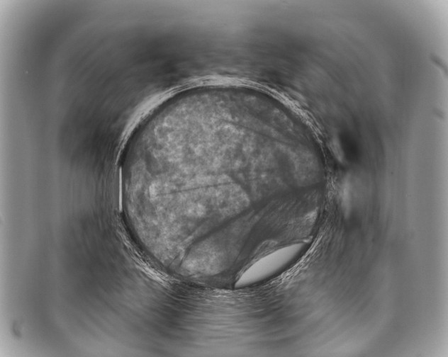 X0000097851223200804111121