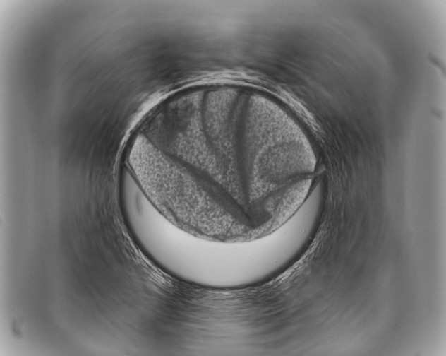 X0000097851224200804111121