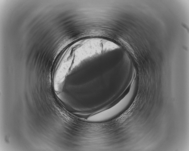 X0000097851226200804111121