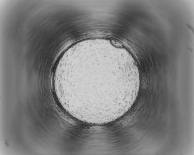 X0000097851227200804111121