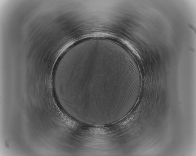 X0000097851229200804111121