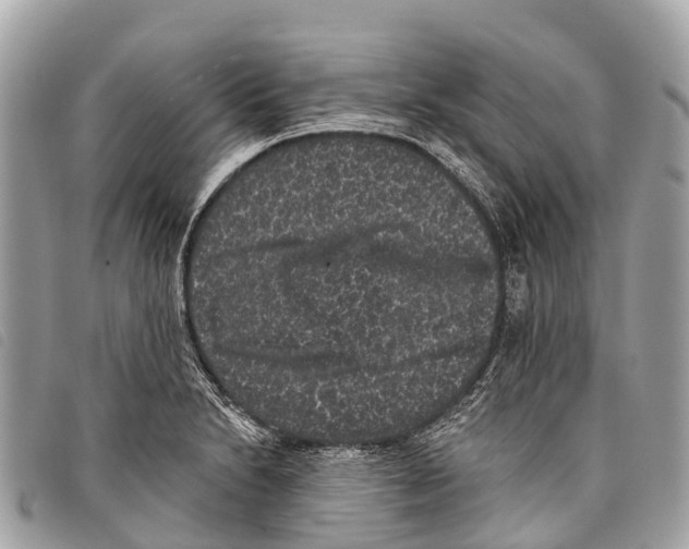 X0000097851230200804111121