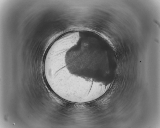 X0000097851231200804111121