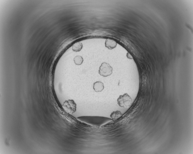 X0000097851232200804111121