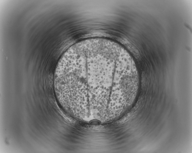 X0000097851233200804111121