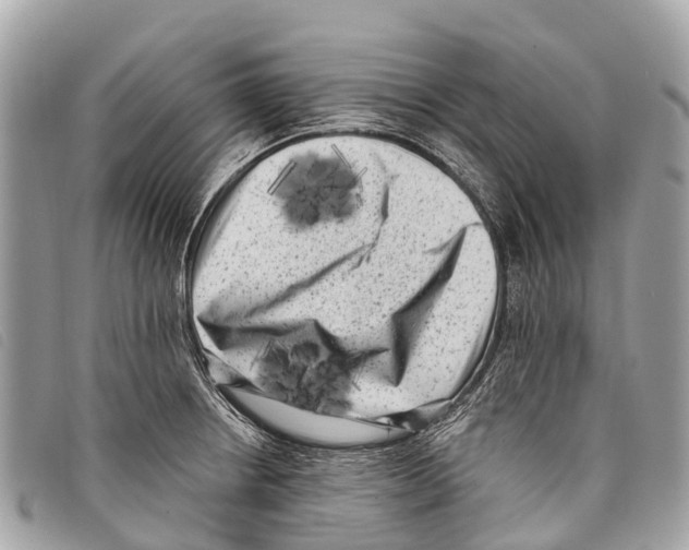 X0000097851234200804111121