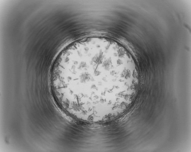 X0000097851235200804111121