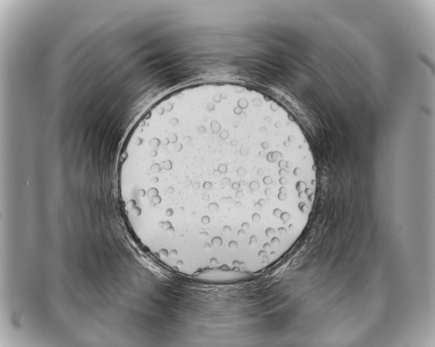 X0000097851236200804111121