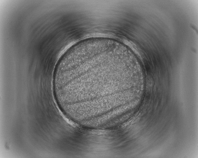 X0000097851237200804111121