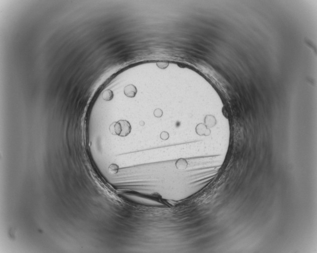 X0000097851238200804111121