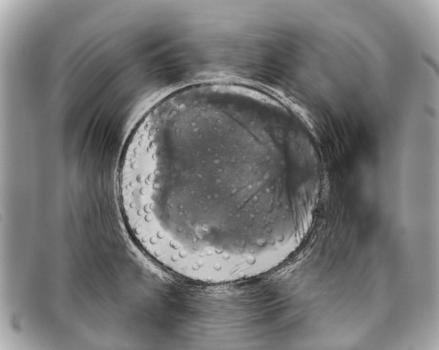 X0000097851239200804111121