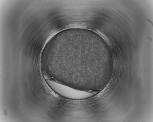 X0000097851240200804111121