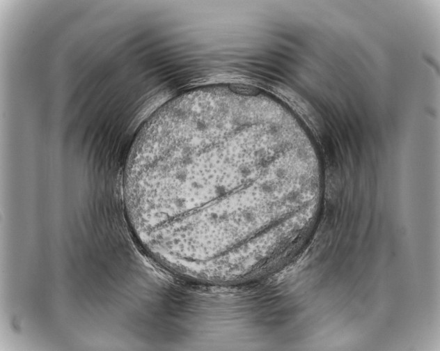 X0000097851241200804111121