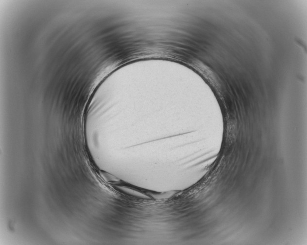 X0000097851242200804111121