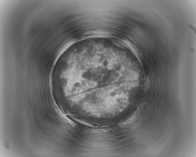 X0000097851243200804111121