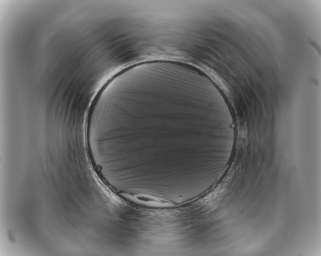 X0000097851246200804111121