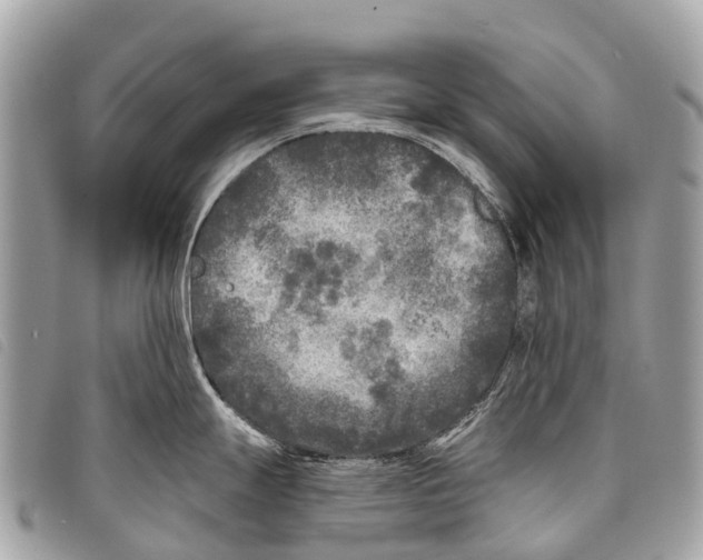 X0000097851247200804111121