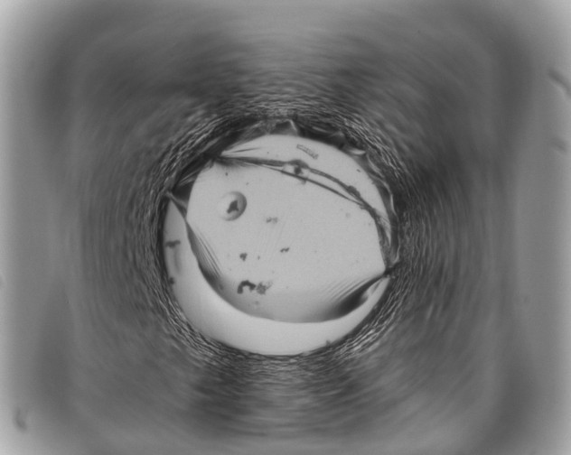 X0000097851249200804111120