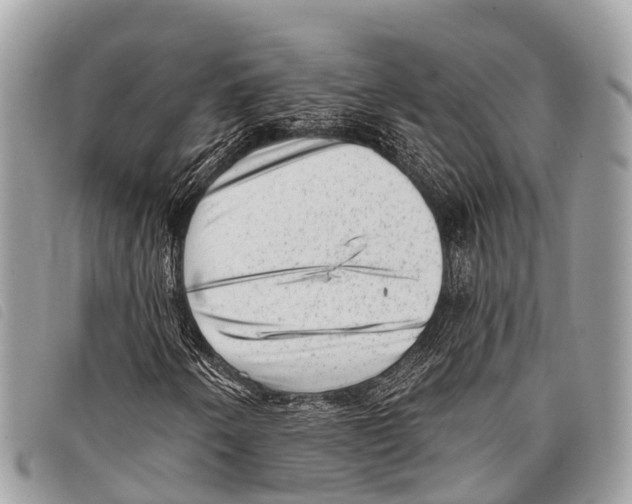 X0000097851250200804111120