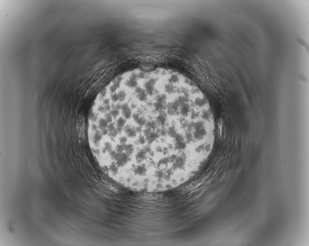 X0000097851251200804111120