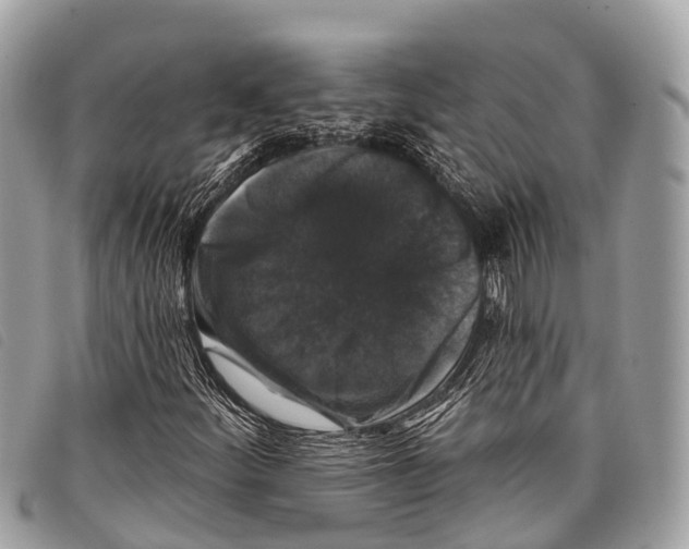 X0000097851252200804111120