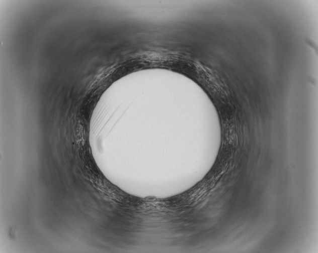 X0000097851253200804111120