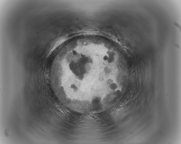 X0000097851255200804111120