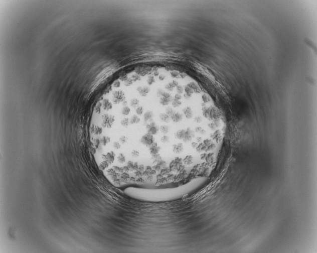 X0000097851259200804111120