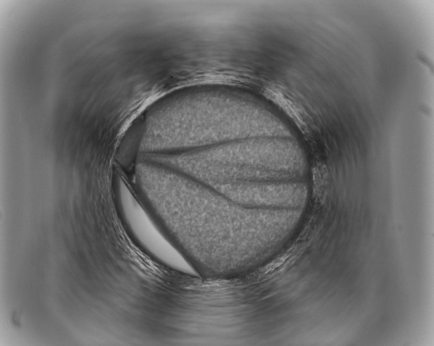 X0000097851260200804111120