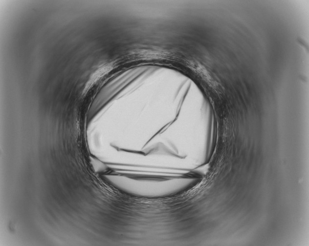 X0000097851261200804111120