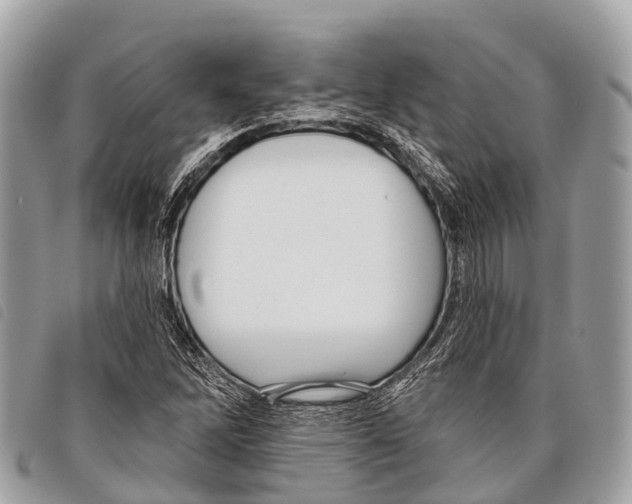 X0000097851262200804111120