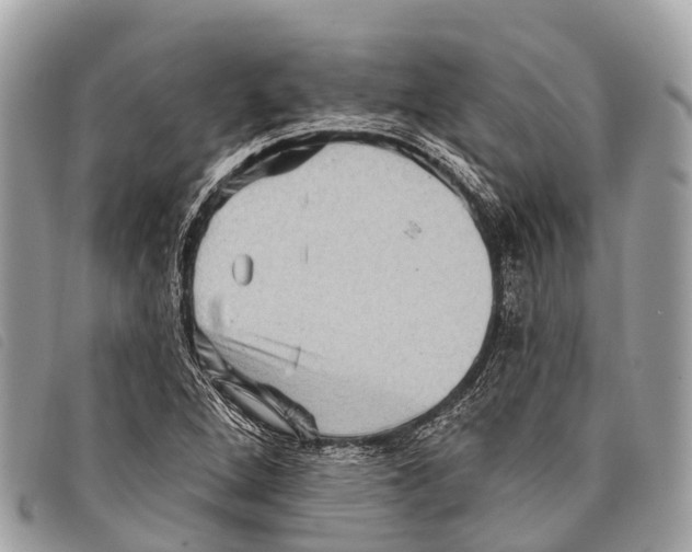 X0000097851264200804111120