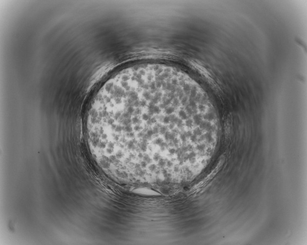 X0000097851267200804111120