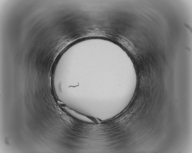 X0000097851268200804111120