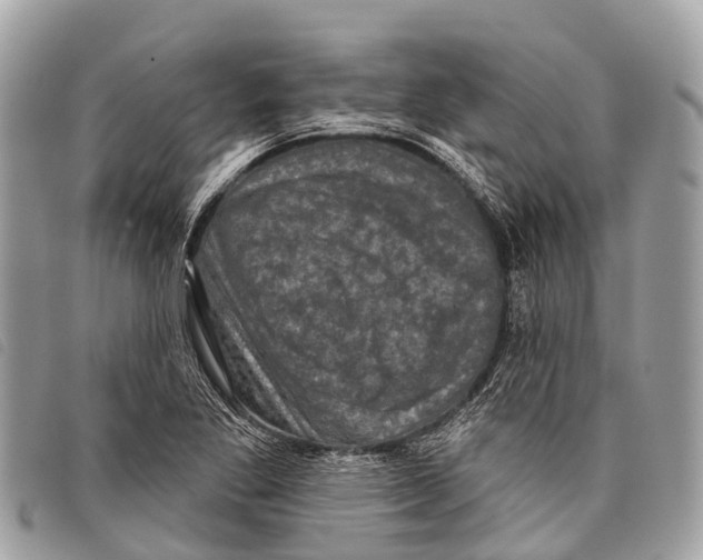 X0000097851269200804111120