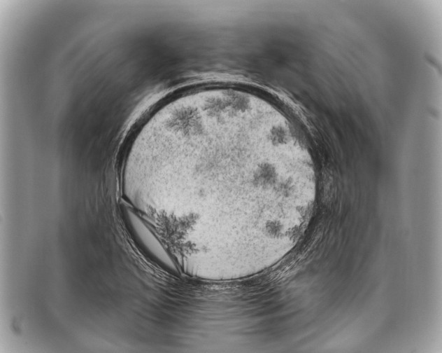 X0000097851271200804111120