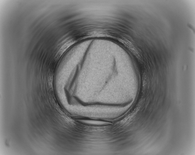 X0000097851273200804111120