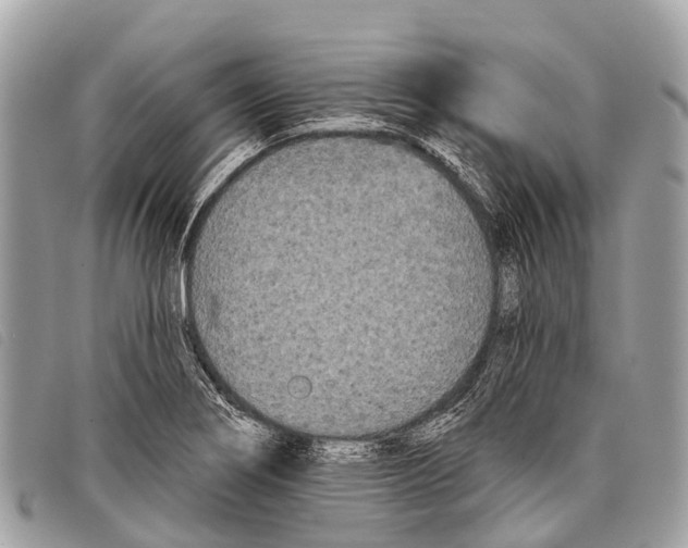 X0000097851274200804111120