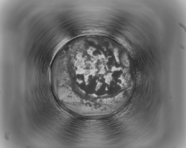 X0000097851275200804111120