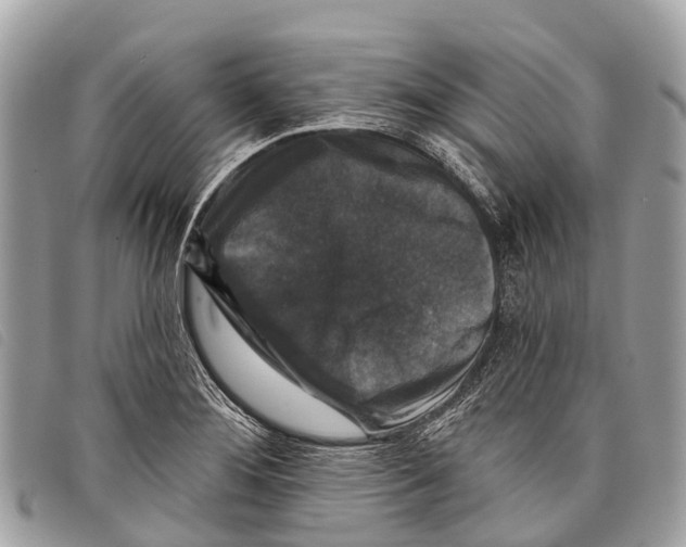 X0000097851276200804111120