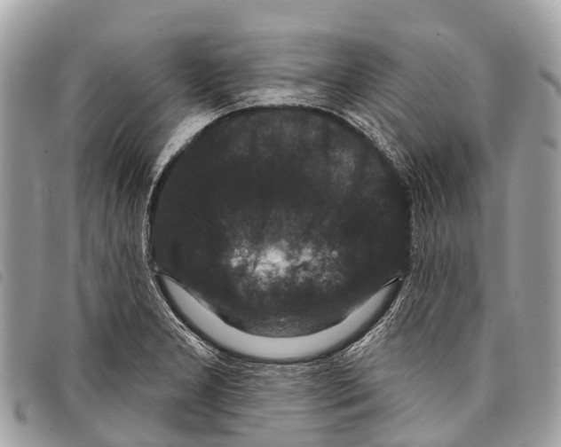 X0000097851277200804111120