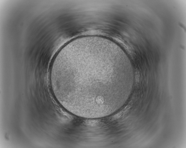 X0000097851278200804111120