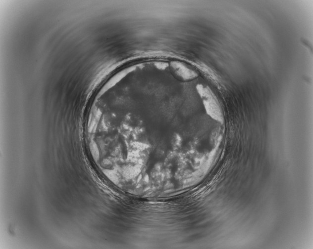 X0000097851279200804111120