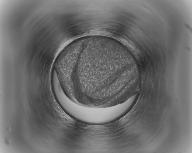 X0000097851280200804111120