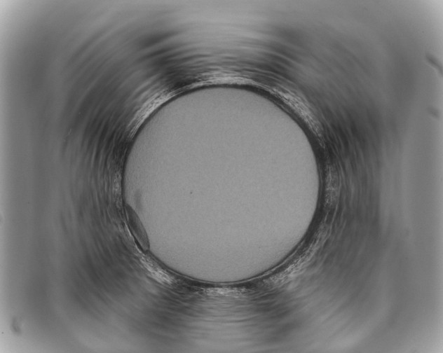 X0000097851281200804111120