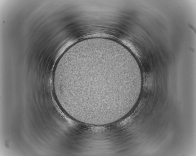 X0000097851282200804111120