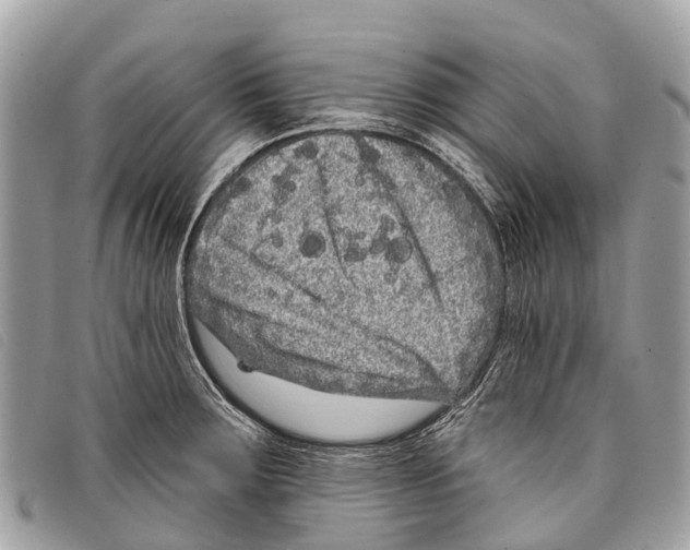 X0000097851283200804111120