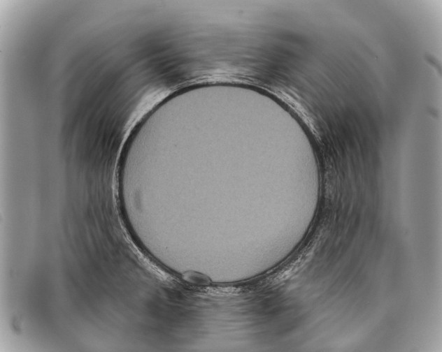 X0000097851285200804111120