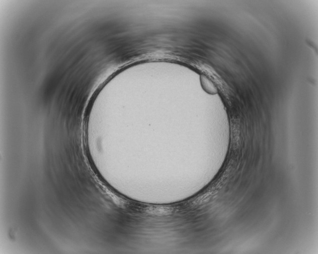 X0000097851286200804111120